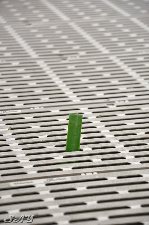 Name:  Dock 8.jpg
Views: 299
Size:  195.1 KB