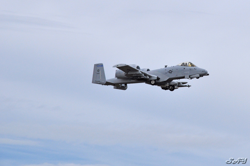 Name:  Warthog 7.jpg
Views: 286
Size:  157.6 KB