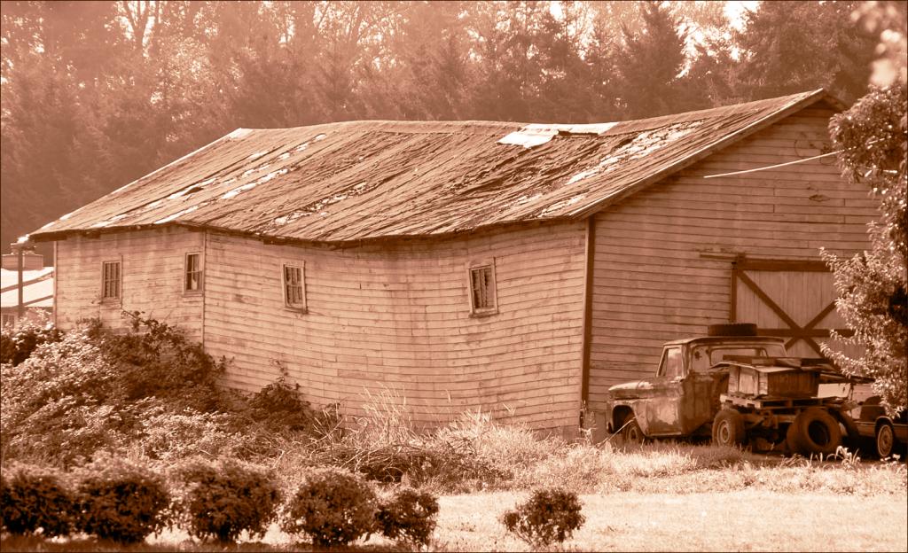 Name:  20080906ReadyToFall-Sepia(DSC_5842).jpg
Views: 226
Size:  144.4 KB