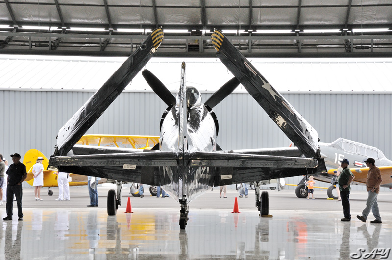 Name:  Skyraider 6.jpg
Views: 620
Size:  197.2 KB