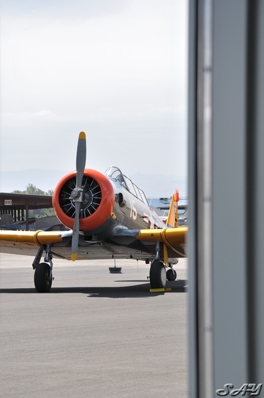 Name:  Texan 2.jpg
Views: 611
Size:  110.4 KB