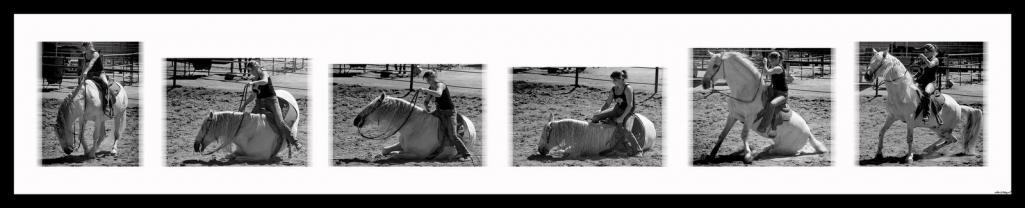 Name:  horse-and-rider_png.jpg
Views: 454
Size:  35.6 KB