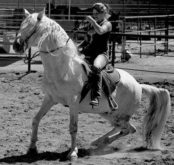 Name:  0218horseandrider_png.jpg
Views: 411
Size:  104.1 KB