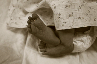 Name:  IMG_0888-2.jpg
Views: 611
Size:  88.9 KB