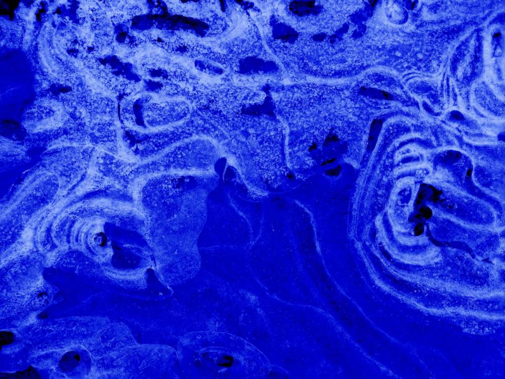 Name:  IMG_3030f.jpg
Views: 497
Size:  158.4 KB