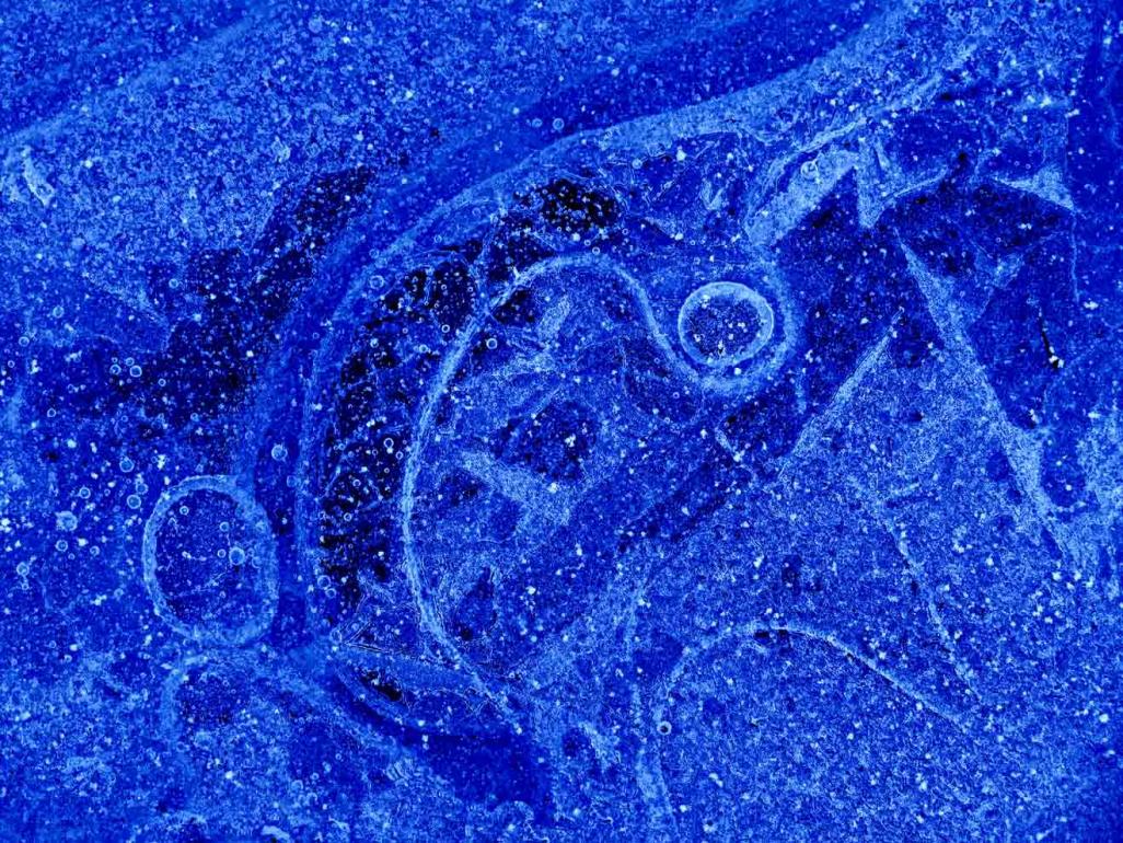 Name:  IMG_3042f.jpg
Views: 487
Size:  235.5 KB