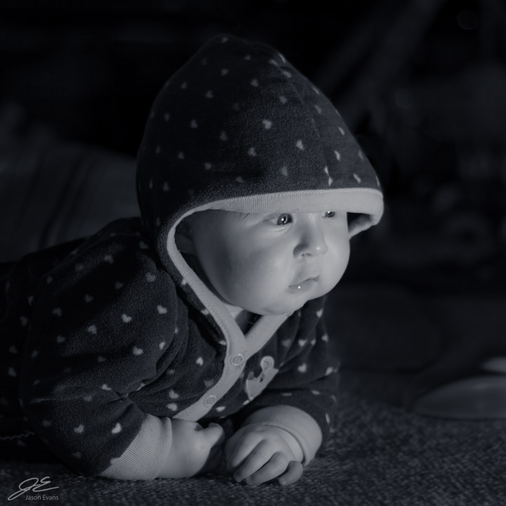 Name:  20120923-fb1.jpg
Views: 513
Size:  261.5 KB