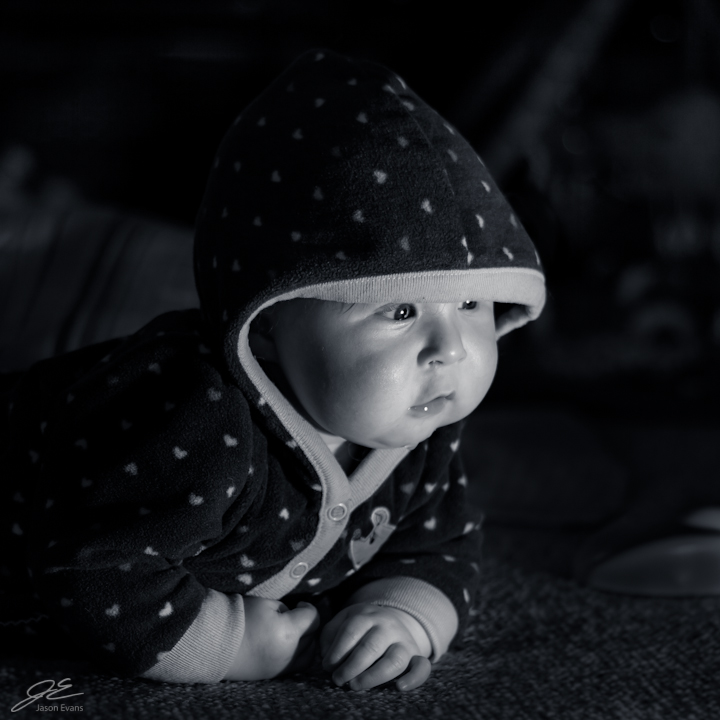 Name:  20120923-fb1-2.jpg
Views: 495
Size:  230.3 KB