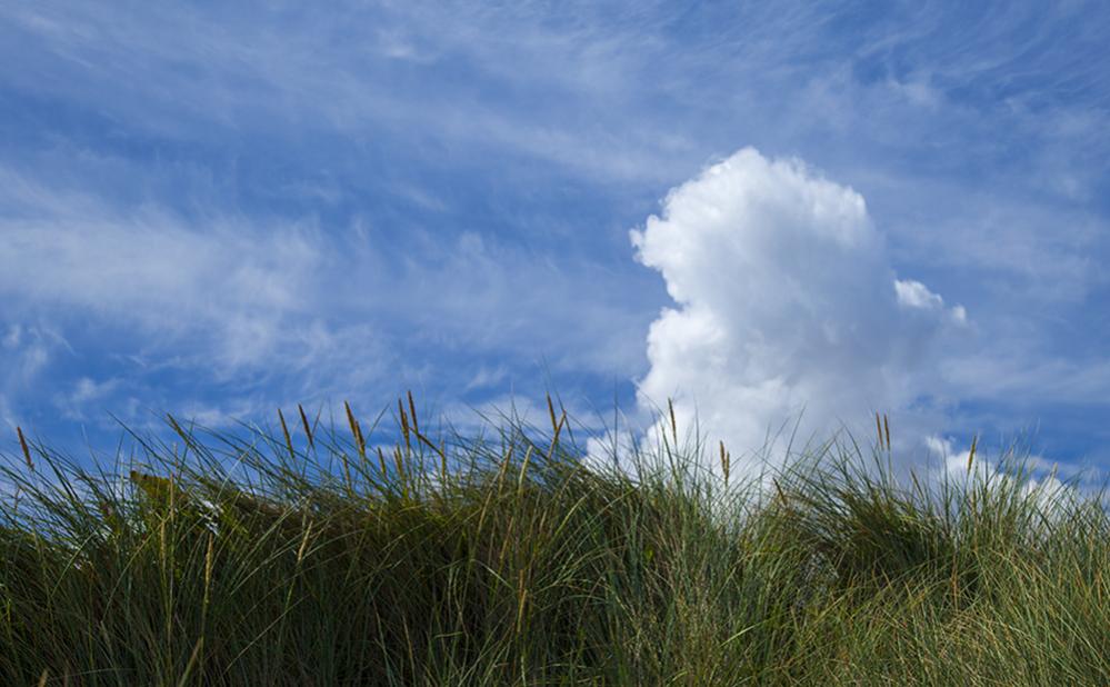 Name:  Cloudburst2.jpg
Views: 886
Size:  78.0 KB