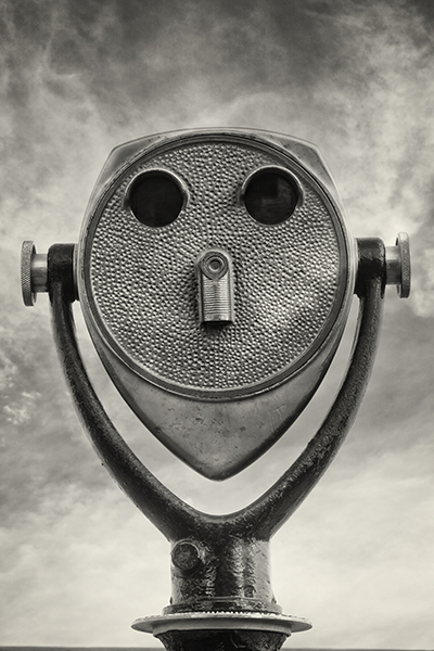 Name:  Rosie.jpg
Views: 571
Size:  177.9 KB