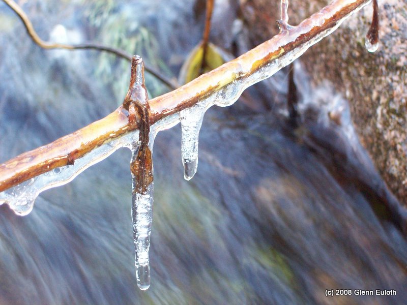 Name:  100_4302.JPG
Views: 483
Size:  98.5 KB