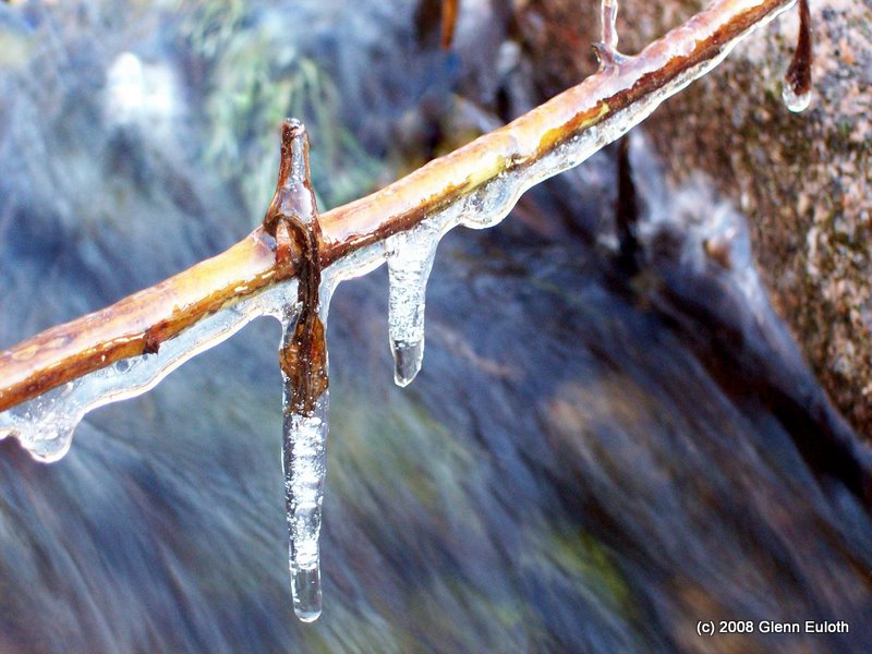 Name:  100_4302-1.JPG
Views: 444
Size:  105.4 KB