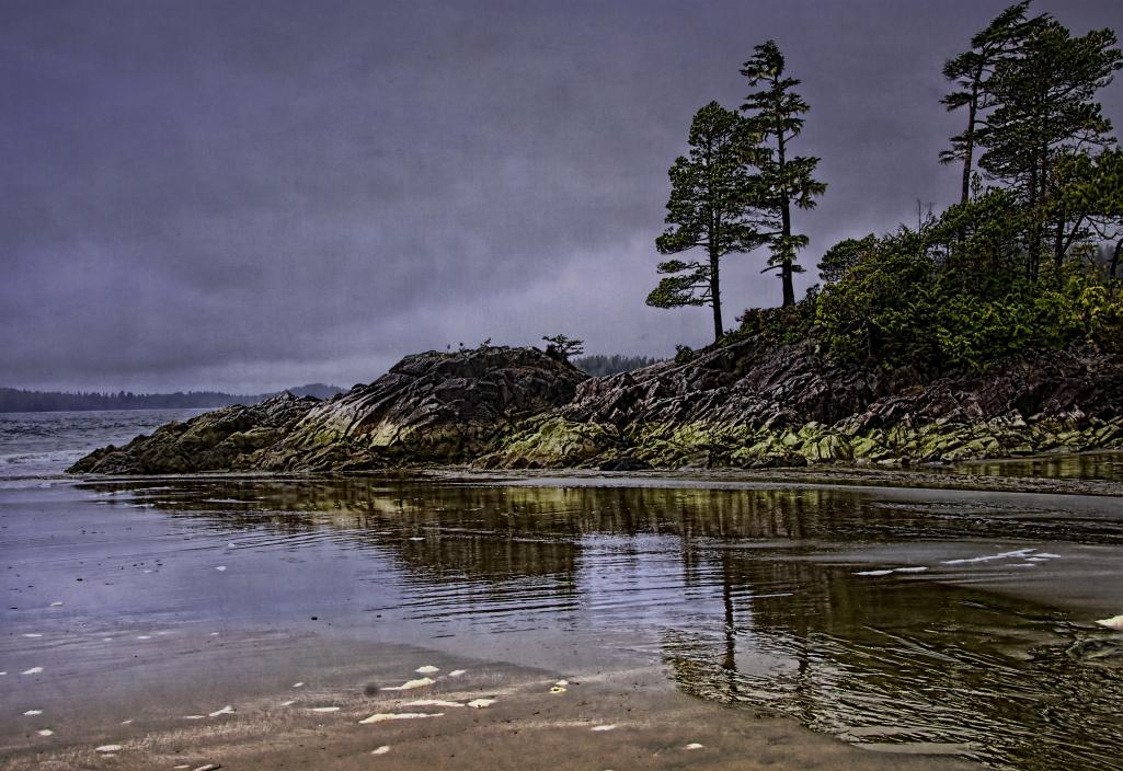 Name:  Ucluelet001 with flypaper textures.jpg
Views: 507
Size:  135.9 KB