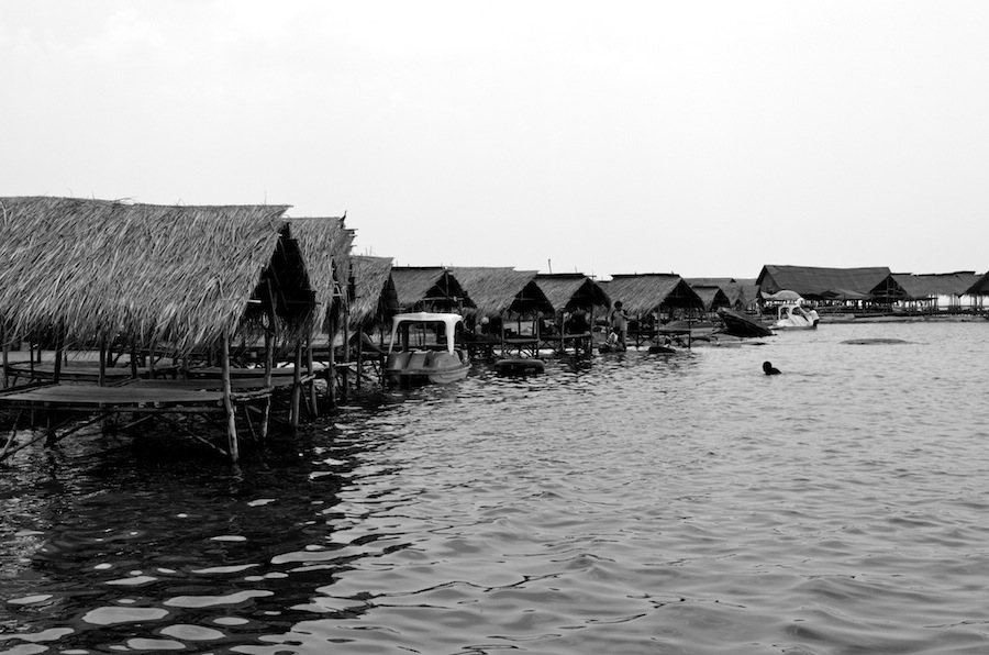 Name:  DSC_0201.jpg
Views: 440
Size:  153.3 KB