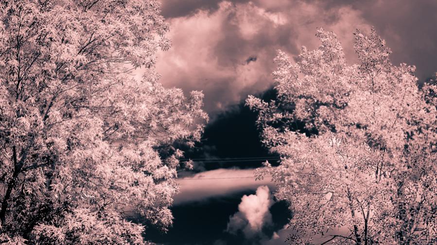 Name:  IR Sim Test 01-0371.jpg
Views: 728
Size:  122.6 KB