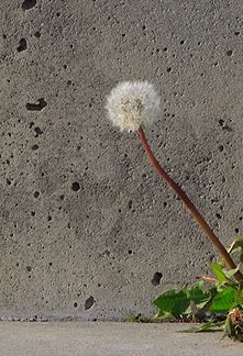 Name:  3475403067_68390b2ecd_o.jpg
Views: 381
Size:  34.9 KB