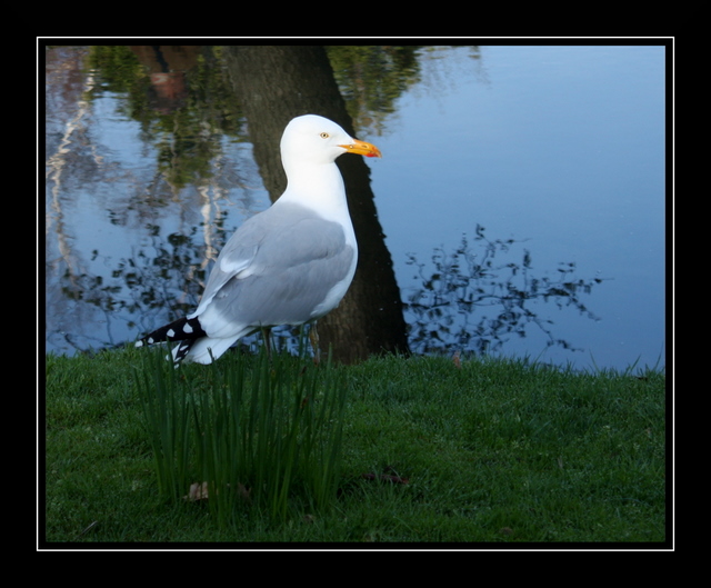 Name:  IMG_0696-2.JPG
Views: 365
Size:  165.7 KB