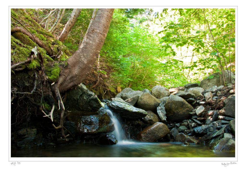 Name:  bRENDA 2.jpg
Views: 424
Size:  149.9 KB