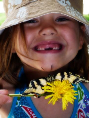 Name:  Catchingbutterfly.jpg
Views: 515
Size:  24.5 KB