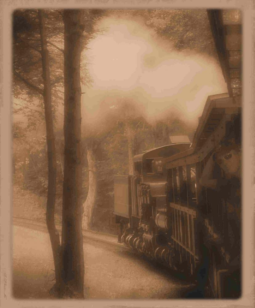 Name:  IMG_5826sepia engine no. 11.jpg
Views: 568
Size:  70.4 KB