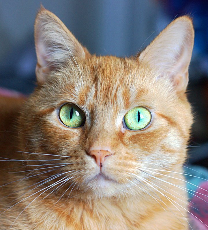 Name:  IMG_5866.CR2.jpg
Views: 549
Size:  128.2 KB