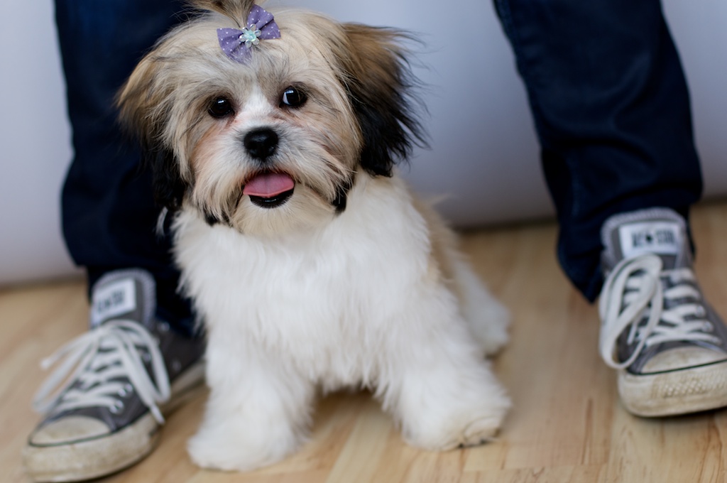 Name:  NAM5191 - Shel_Natasha.jpg
Views: 568
Size:  142.1 KB