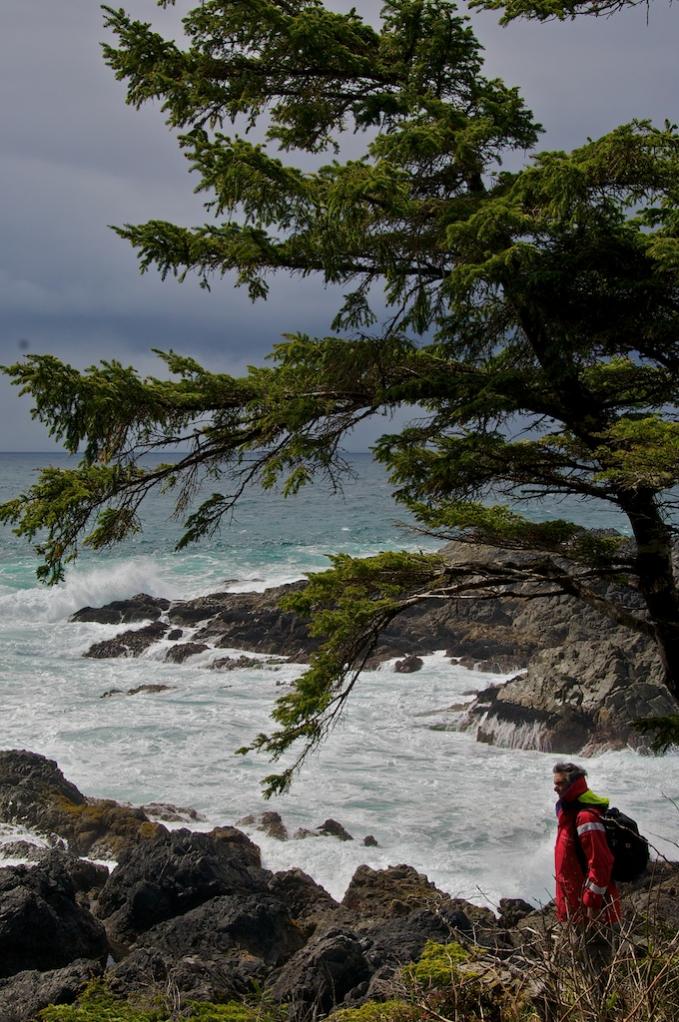 Name:  _NAM5958 - Version 2 - 2010-04-24 at 14-46-49.jpg
Views: 450
Size:  146.9 KB