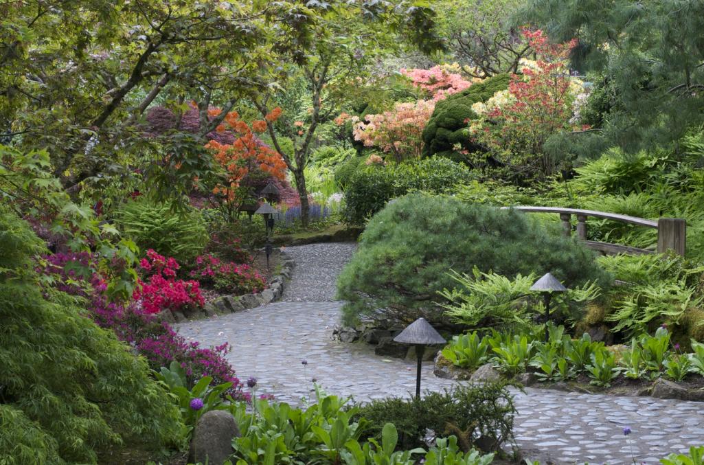 Name:  Butchart Japanese Garden path 035.jpg
Views: 312
Size:  176.7 KB