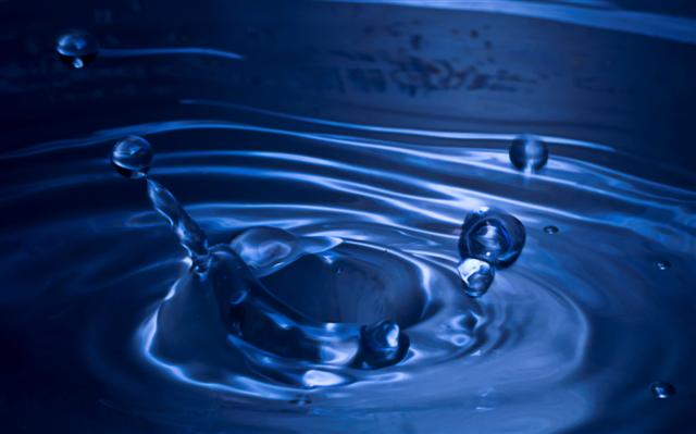 Name: Splash2 (Small).jpg
Views: 635
Size: 31.6 KB