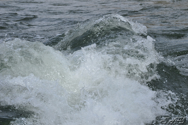 Name:  Water 26.jpg
Views: 40
Size:  214.9 KB