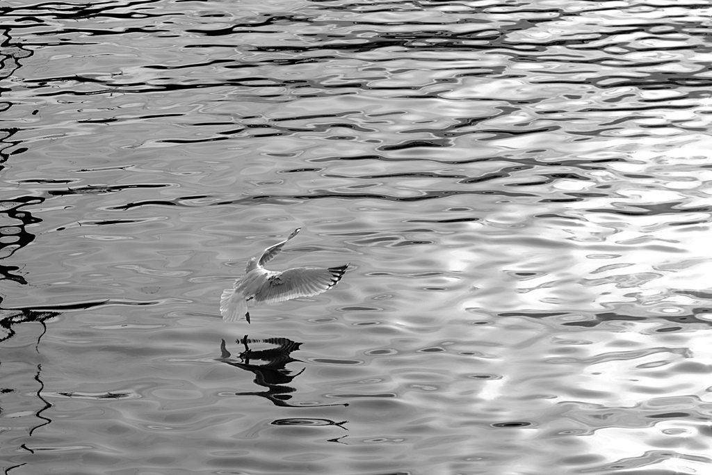 Name:  IMG_7246_edited.jpg
Views: 48
Size:  248.3 KB