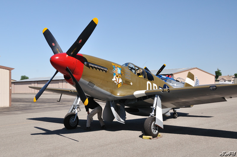 Name:  Boise Bee 4.jpg
Views: 88
Size:  156.1 KB