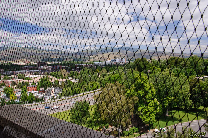Name:  Bell Tower 1.jpg
Views: 17
Size:  214.4 KB