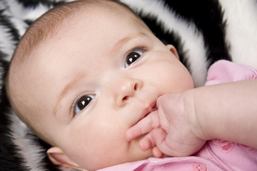 Name:  baby11.jpg
Views: 1056
Size:  55.4 KB