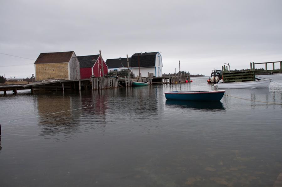 Name:  DSC_0301.jpg
Views: 703
Size:  42.2 KB