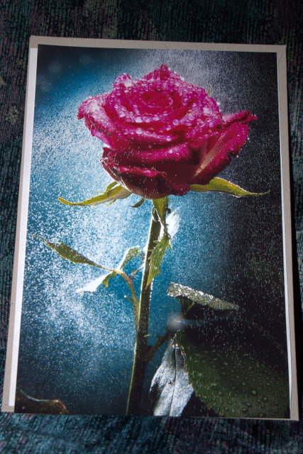 Name:  IMG_0023.jpg
Views: 443
Size:  124.1 KB