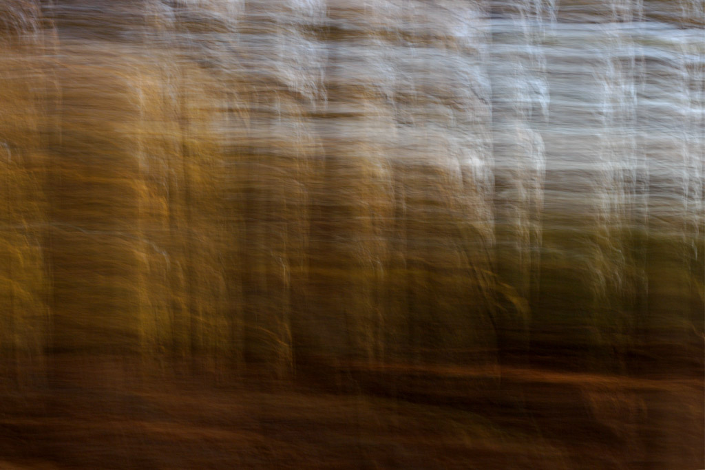 Name:  Autumn Breeze.jpg
Views: 965
Size:  154.7 KB