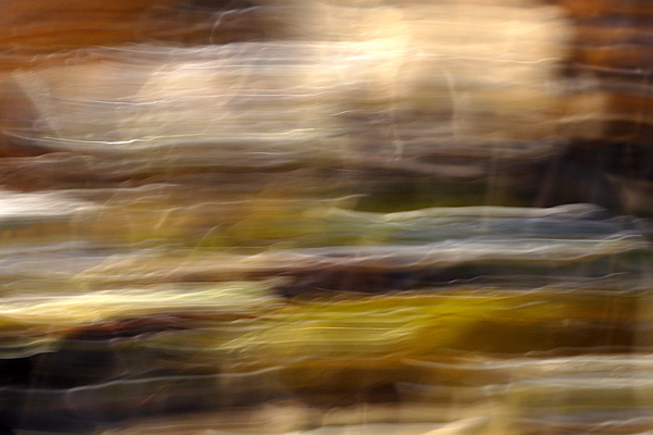 Name:  Autumn Frost.jpg
Views: 535
Size:  137.3 KB