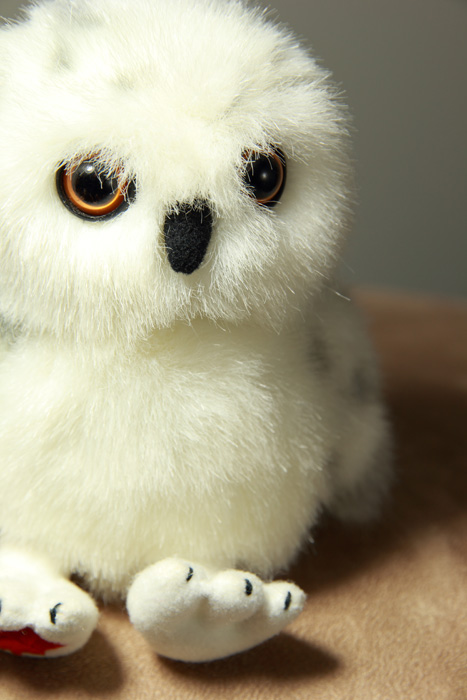 Name:  Sad hoot hoot small.jpg
Views: 484
Size:  105.1 KB
