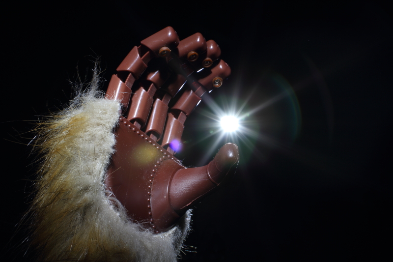 Name:  Squatch.JPG
Views: 983
Size:  284.5 KB