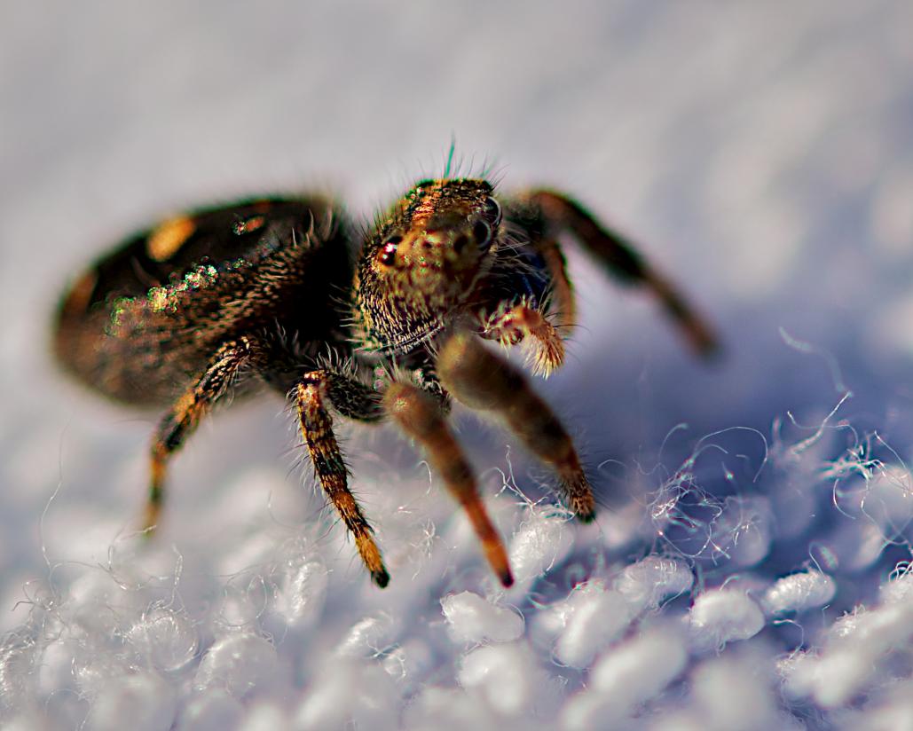Name:  DSC_7577 (10 of 32).jpg
Views: 569
Size:  82.2 KB