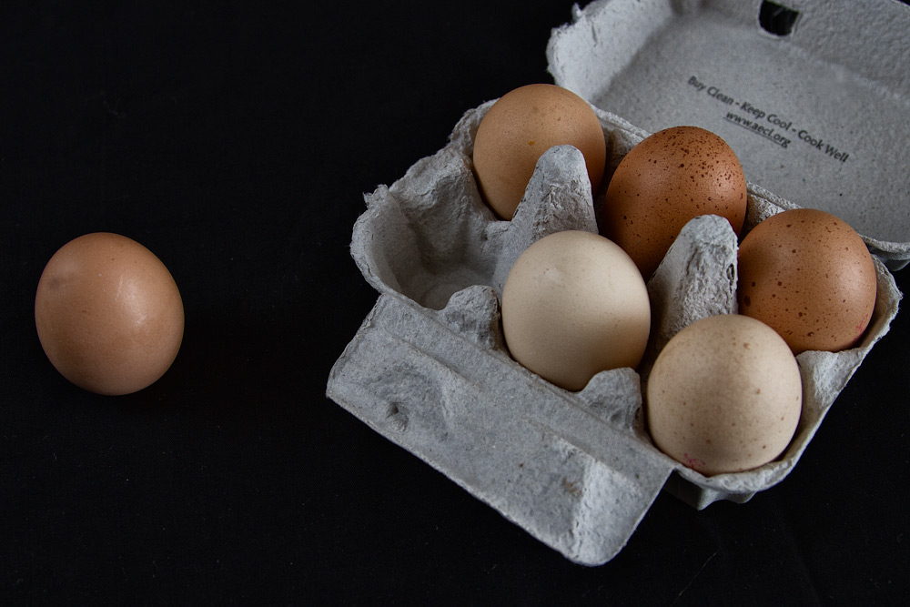 Name:  eggscluded.jpg
Views: 285
Size:  148.5 KB