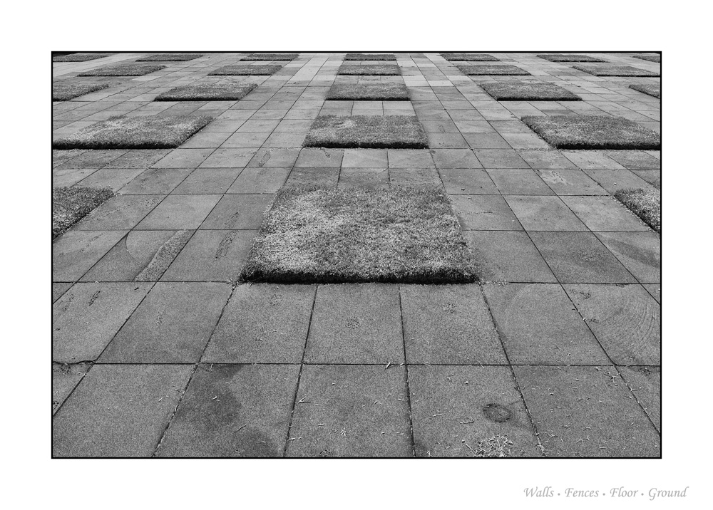 Name:  3 of 365-4.JPG
Views: 619
Size:  274.7 KB