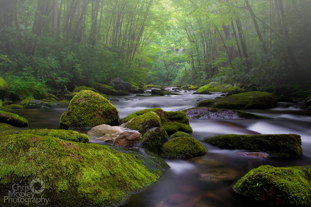 Name:  15760d1344033890-secret-solitude-326018_463212627037316_1952072775_o.jpg
Views: 544
Size:  177.8 KB
