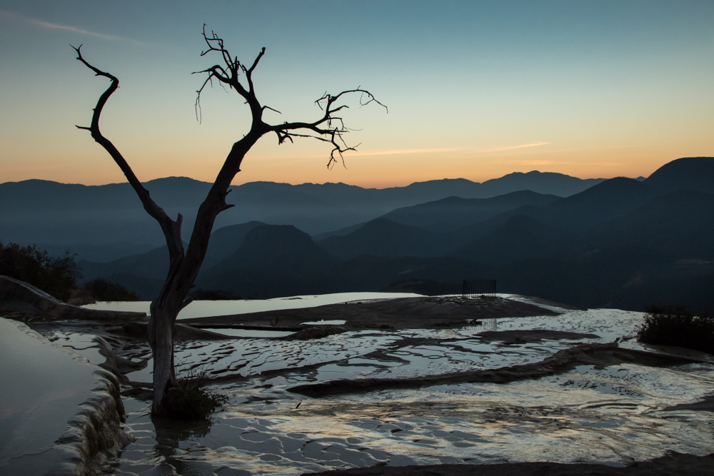 Name:  20991d1485876762-tree-sunrise-treeatsunrise-2.jpg
Views: 568
Size:  311.1 KB