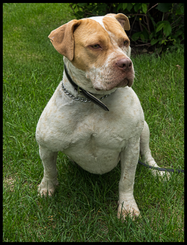 Name:  cindy2 (1 of 1).JPG
Views: 527
Size:  247.2 KB