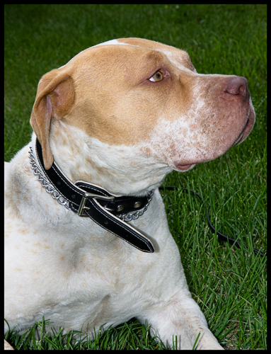 Name:  cindy1 (1 of 1).JPG
Views: 462
Size:  225.8 KB