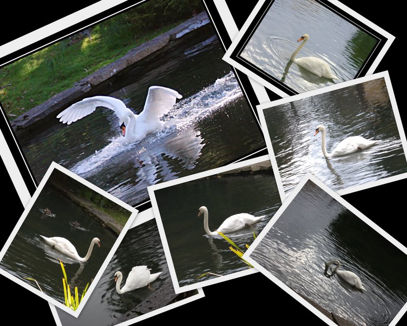 Name:  May.jpg
Views: 295
Size:  136.5 KB
