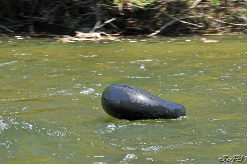 Name:  Rafters 4.jpg
Views: 402
Size:  184.2 KB