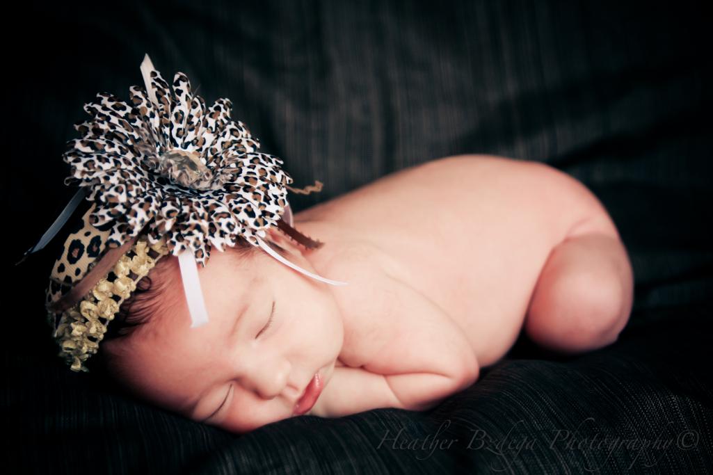 Name:  IMG_1146.jpg
Views: 583
Size:  66.2 KB